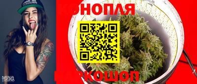 ECSTASY Новодвинск