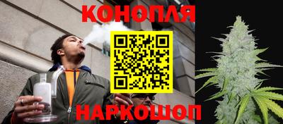 каннабис Новозыбков