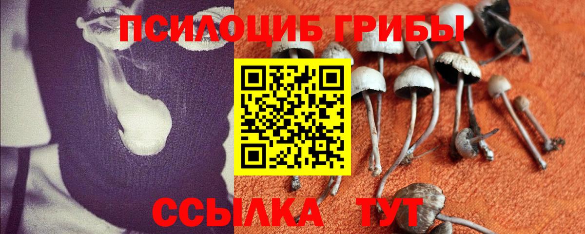 Галлюциногенные грибы мухоморы Самара
