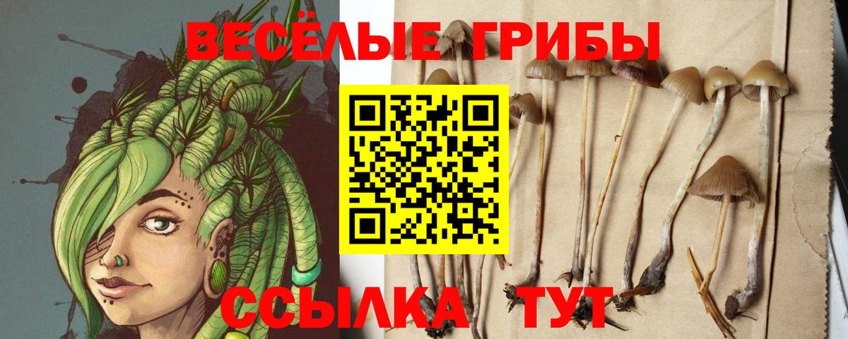 Галлюциногенные грибы GOLDEN TEACHER  Вход с VPN  Псилоцибиновые грибы Cubensis  Самара 